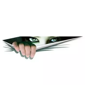 Виниловая наклейка для дверей и окон автомобиля, 43 х11 см