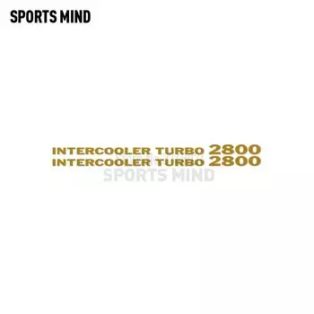 Виниловая наклейка для Mitsubishi Delica L300 Pajero Shogun, 2 шт.