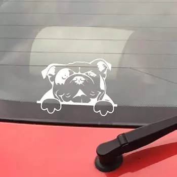 Виниловая наклейка с английским бульдогом kasamanis