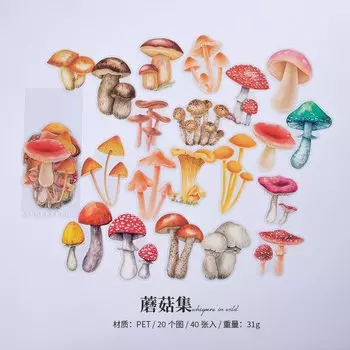 Винтажные наклейки для домашних животных Mengtai