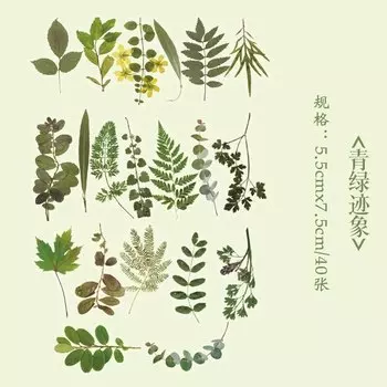 Винтажные наклейки с цветами и растениями Gimue