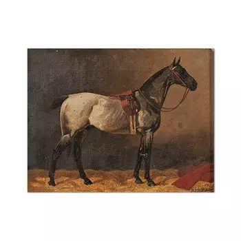 Винтажные постеры с анатомией лошади dulike