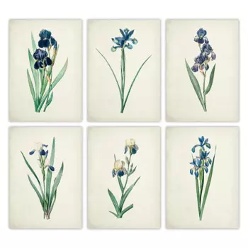 Винтажный постер с цветами Fine Comma