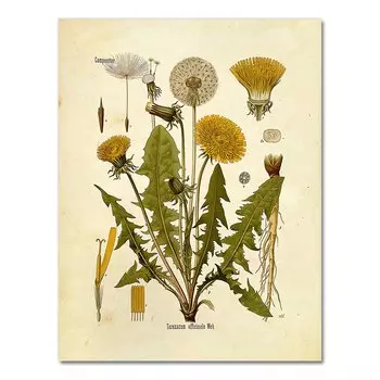 Винтажный постер с дикими растениями AliPaint