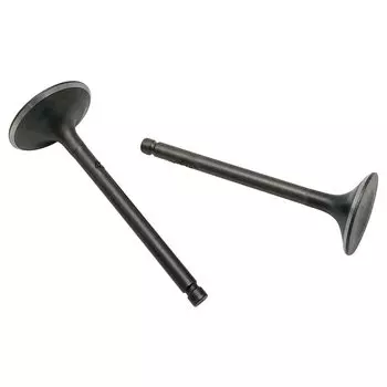 Впускной и выпускной клапан головки блока цилиндров для Yamaha Bruin 350 Grizzly 350 Raptor 350 YFM 350