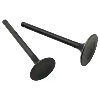 Впускной и выпускной клапан головки цилиндра для Yamaha Big Bear 350 400 YFM350 YFM400