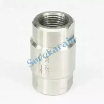 Встроенный пружинный клапан с внутренней резьбой BSP из нержавеющей стали 304, 1/2 дюйма, односторонний обратный клапан, 64 бар