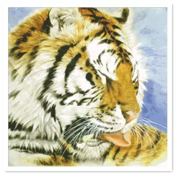Вышивка крестиком Tiger B, ткань из хлопка и шелка с рисунком животных, 18 карат, 14 карат, 11 карат, рукоделие «сделай сам»