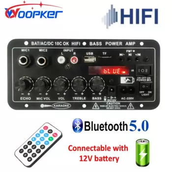 WOOPKER 30 Вт-120 Вт цифровой Bluetooth усилитель плата D10C сабвуфер двойной микрофон усилитель динамик для автомобиля караоке домашний кинотеатр DIY