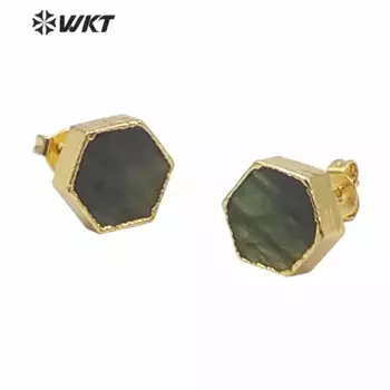 WT-E156 Прекрасные модные серьги с блестящим натуральным лабрадоритом, разноцветные серьги-гвоздики с камнем, золотые серьги оптом, ювелирные изделия