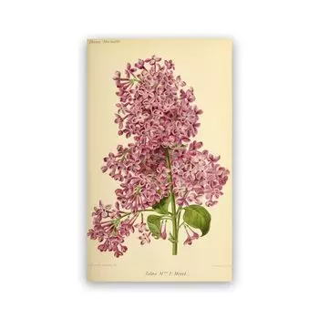 Yoolife Античные цветы на холсте