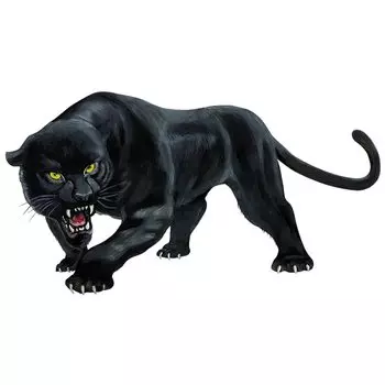 Забавная Черная пантера, Стайлинг животных, стикеры для автомобилей, мотоциклов, внешние аксессуары, ПВХ наклейки для Bmw, Audi, Ford