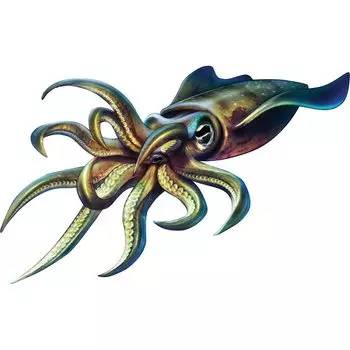 Забавная рыболовная Солнцезащитная Водонепроницаемая цветная наклейка на автомобиль автомобили мотоциклы внешние аксессуары ПВХ наклейки