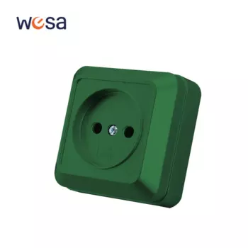Зеленая настенная розетка WESA