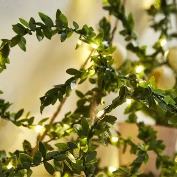 Зеленая светодиодная гирлянда XUNATA