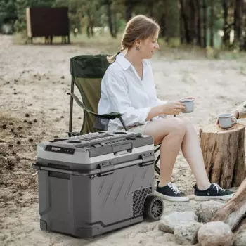 ZGW61 Alpicool холодильник для автомобильного компрессора, портативный холодильник для кемпинга, 12 В, автомобильный грузовик, уличный аккумулятор, автомобильный холодильник с морозильной камерой, электрический