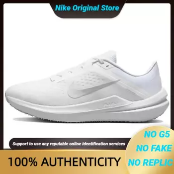 Женские кроссовки Nike Winflo 10' White Metallic Silver' DV4023-102