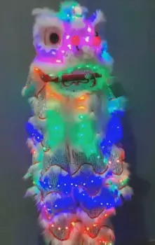 Женский костюм для одного человека, Женский костюм для танцев, выступлений, фестивалей