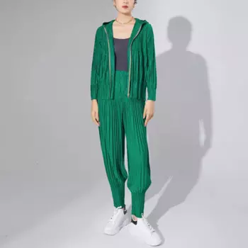 Женский Повседневный комплект из двух предметов, плиссированная осенняя куртка на молнии с капюшоном и штаны