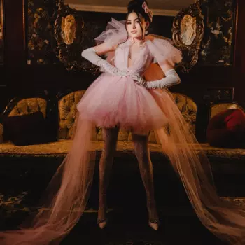 Женское Тюлевое платье-пачка с V-образным вырезом