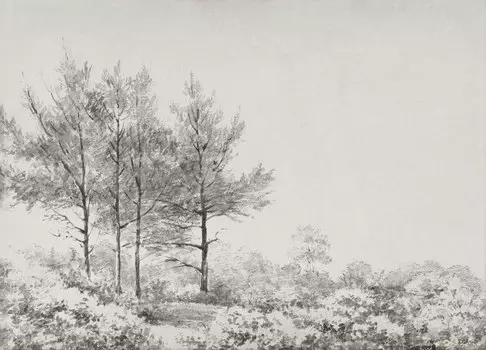 Деревенский античный цветочный эскиз, деревенский ботанический цветочный рисунок, шотландский рисунок, винтажный акварельный декор с изображением Нью-Йорка