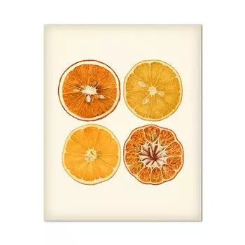 Живопись "Лимон на ветке" Ilan grace