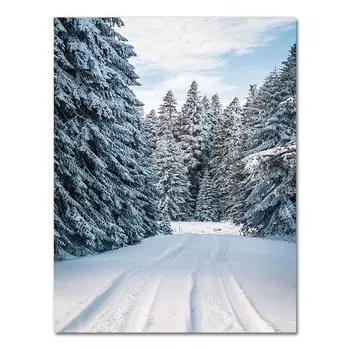 Живопись на холсте "Зимний пейзаж" AliPaint