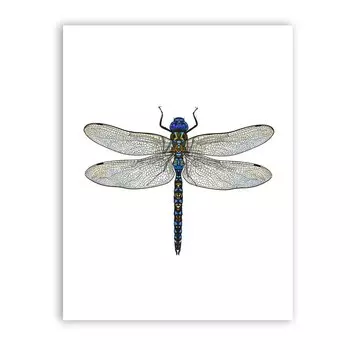 Живопись стрекоза Live ustory канвас