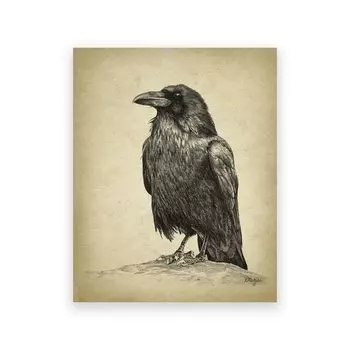 Живопись "Ворон" Live ustory