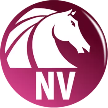 AKVIS Neon Video 1.2