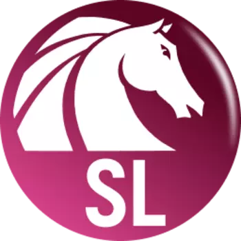 AKVIS Stencil Video 1.0