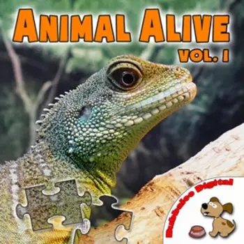 Animal Alive Vol.1