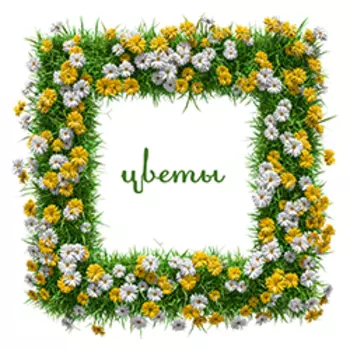 Цветы Тема для PhotoBook