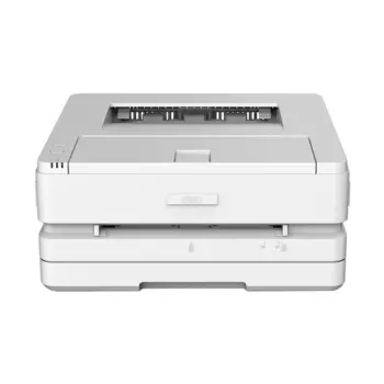 DELI P2500DN