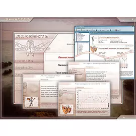 Effecton Личность 5.0