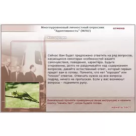 Effecton Многоуровневый личностный опросник Адаптивность (МЛО)