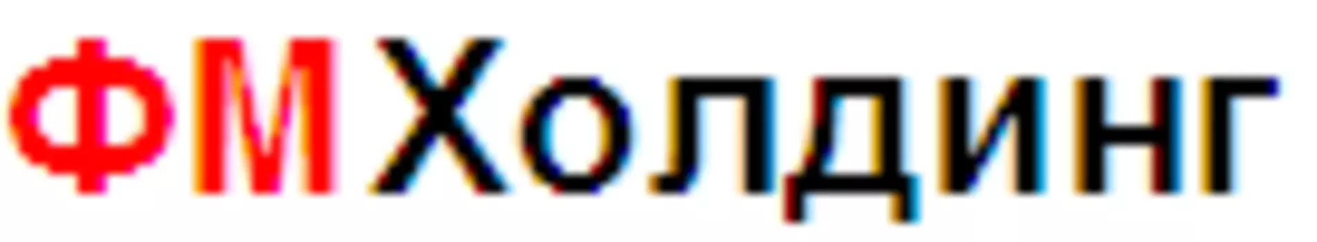 ФМХолдинг 1.4