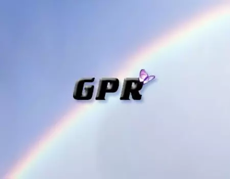 GPR система автоматизации бизнеса