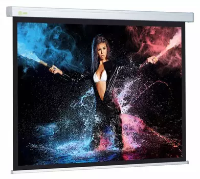 Экран Cactus Wallscreen CS-PSW-180X180