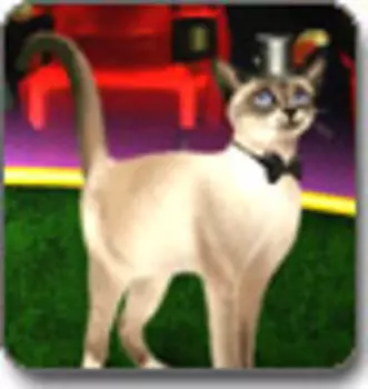 Карточные фокусы