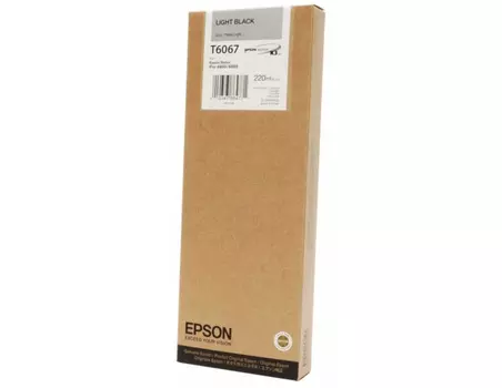 Картридж серый Epson C13T606700