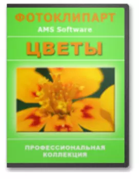 Клипарт высокого разрешения Цветы