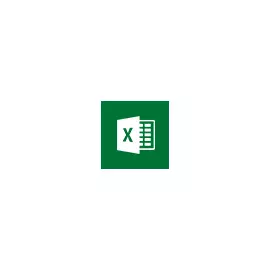 Microsoft Excel 2021 Single OLV NL