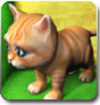 Мой котенок