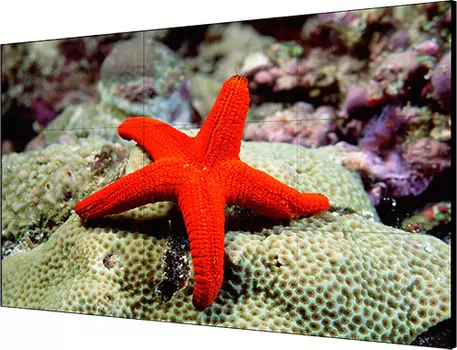 Монитор Hikvision DS-D2046LU-Y 46.0-inch черный