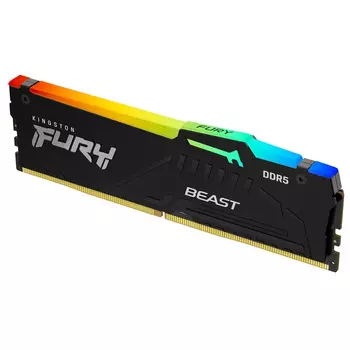 Оперативная память Kingston FURY Beast Black RGB EXPO KF556C36BBEA-32, RTL