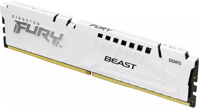 Оперативная память Kingston FURY Beast Black RGB EXPO KF552C36BWE-16, RTL
