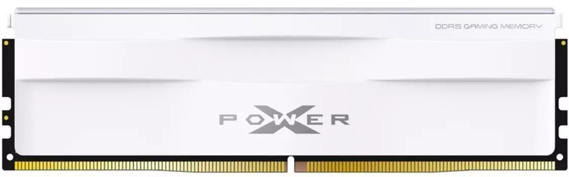 Оперативная память Silicon Power DDR5 16GB, SP016GXLWU600FSG, RTL