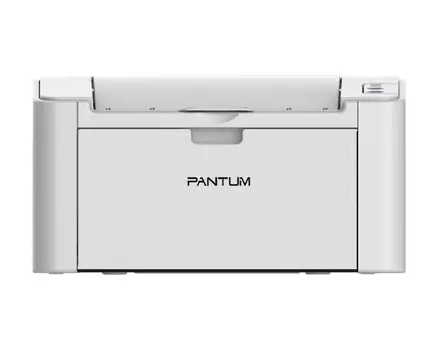PANTUM P2200