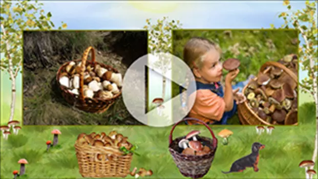 Шаблоны для слайд-шоу Дачные истории